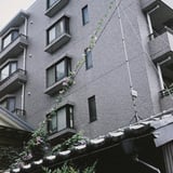 朝顔