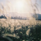 一緒に夢をみようよ