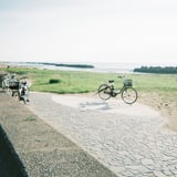 僕らの海でまた会おう