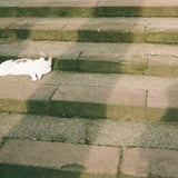 温もり