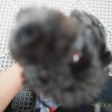 ピンボケするほどの2人の距離