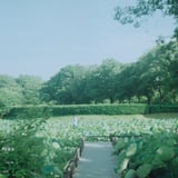 初夏