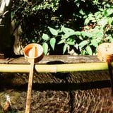 「水紋」