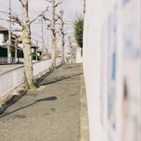 リズと青い鳥
