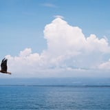 夏空