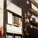 ベランダに花