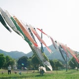 空に上り鯉