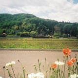 春