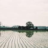 ６月の風景