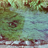 流れる