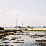 水入り