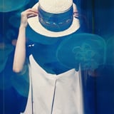 Summer -  Abyss