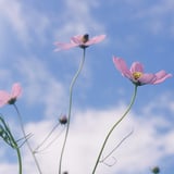 秋空