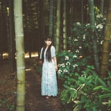 紫陽花