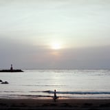 イヌとヒト、太陽を背に受けて