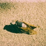 虫の呼吸
