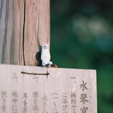 ちいさなちいさな神の使い