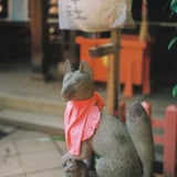 狐コレクション②