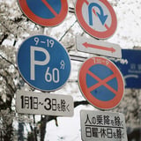 標識桜景色