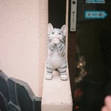 きゅるん