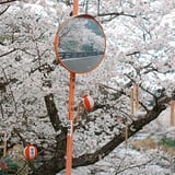 うつしかがみ