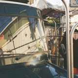 車窓のお友達