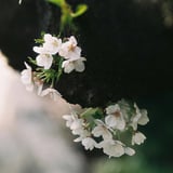 手に届く距離にある