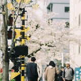桜咲く 人が行き交う