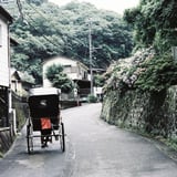 紫陽花の小径