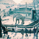 ズゼ
