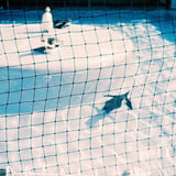 暑い夏の日ペンギンプール