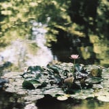 湖面