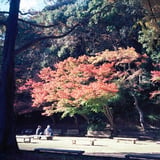 仲良し