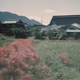 田園風景