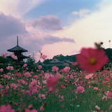 晴れの間に