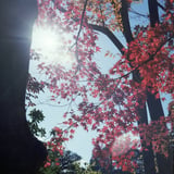 逆光