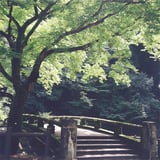 渡った先は山道