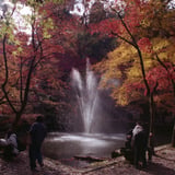 秋の噴水
