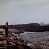 海のぬし釣り