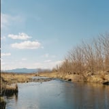 多摩川