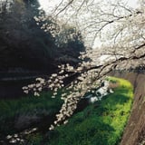 残掘川