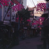 朝の横丁