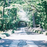 夏、鎌倉