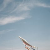 泳