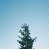 すっきりした空気の日