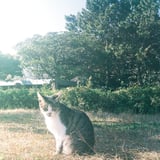 日向ぼっこ