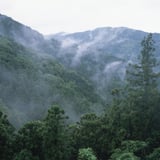 山霧