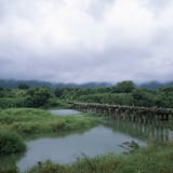 沈下橋