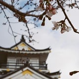 春もすぐそこ