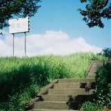 階段を登ったら